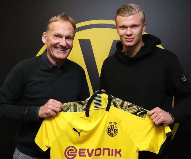 条才会成为 条才会成为